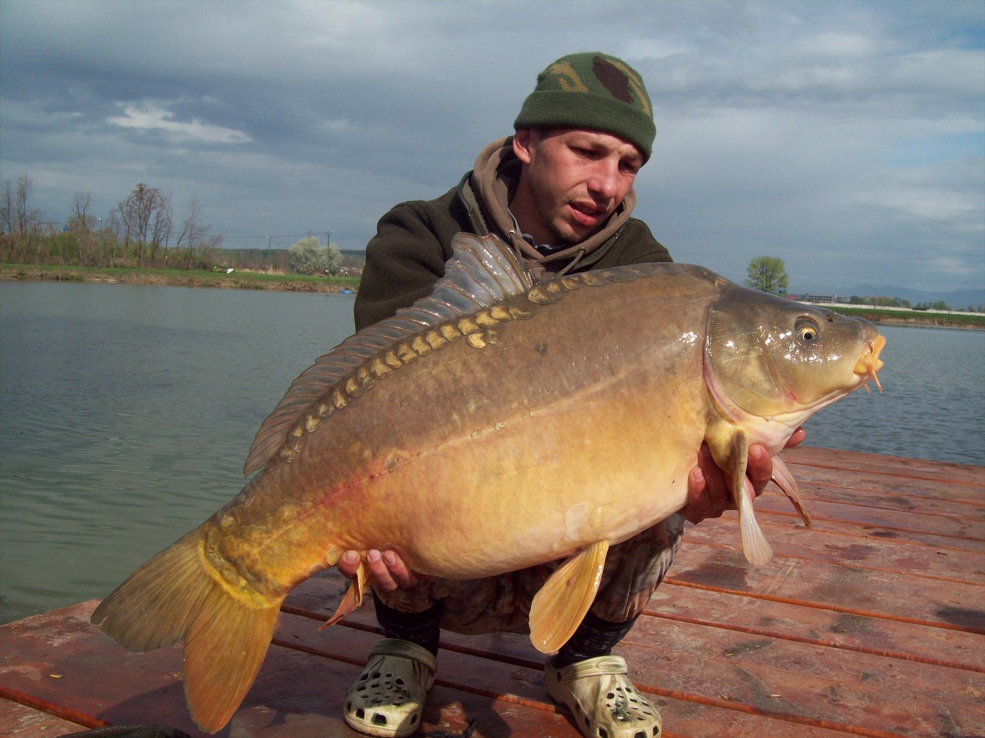 Foto dulapi - 1004180.JPG